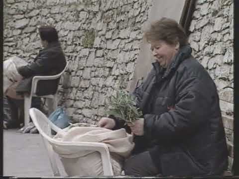 Οδύσσεια - Ένα ερωτικό ταξίδι