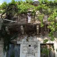 DSC02429.jpg