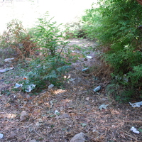 DSC_0127.jpg