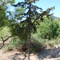 DSC_0190.jpg