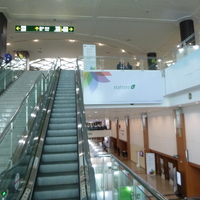 P1000631.jpg