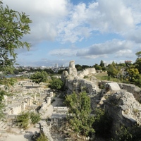 DSC02087.jpg