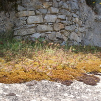 DSC08834.jpg