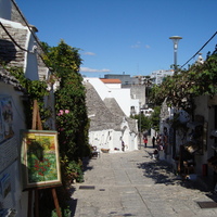 DSC02186.jpg