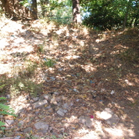 DSC_0110.jpg