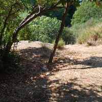 DSC_0181.jpg