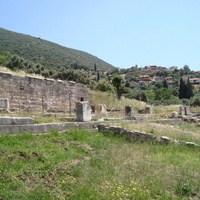 DSC02462.jpg