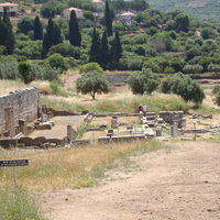 DSC02461.jpg
