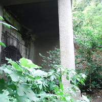 DSC_0292.jpg