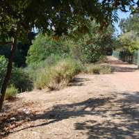 DSC_0182.jpg