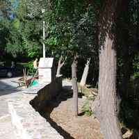DSC_0230.jpg