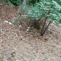 DSC_0293.jpg