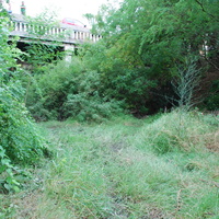 DSC_0284.jpg