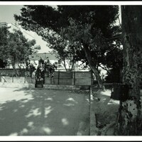page_11.jpg