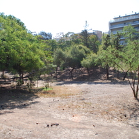 DSC_0192.jpg