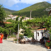 DSC02426.jpg