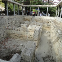DSC02090.jpg