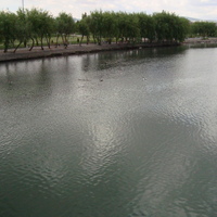 DSC02592.jpg