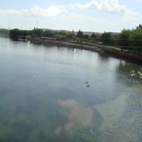 DSC02587.jpg