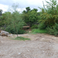 DSC_0321.jpg