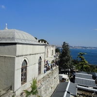 DSC02319.jpg