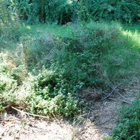 DSC_0102.jpg