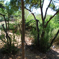 DSC_0178.jpg