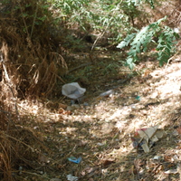 DSC_0096.jpg