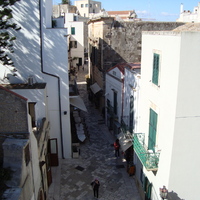 DSC02157.jpg