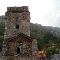 DSC02428.jpg