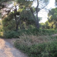 IMG_0367.JPG