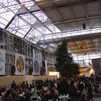 DSC08748.jpg