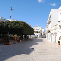 DSC_0603.jpg