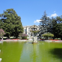 DSC02233.jpg