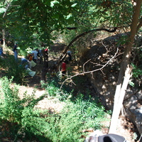 DSC_0236.jpg