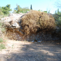 DSC_0081.jpg