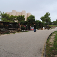 DSC_0305.jpg