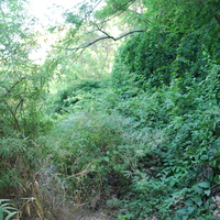 DSC_0151.jpg