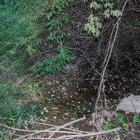 DSC_0107.jpg
