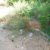DSC_0128.jpg