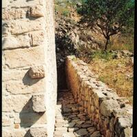 page_245.jpg