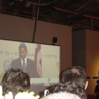 DSC08738.jpg