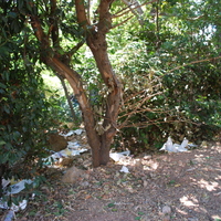 DSC_0142.jpg