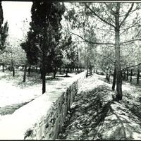 page_3.jpg