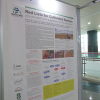 P1000635.jpg