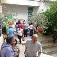 P1000219.jpg
