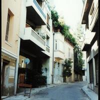 page_239.jpg