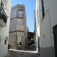 DSC02154.jpg