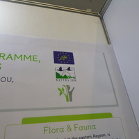 P1000616.jpg