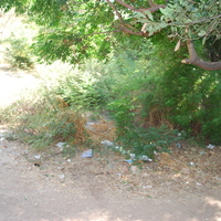 DSC_0129.jpg
